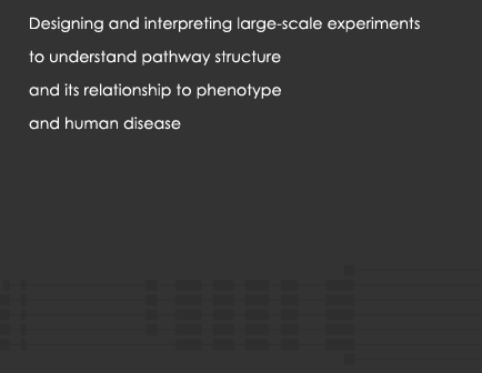 Designing and interpreting large-scale experiments to understand pathway structure and its relationship to phenotype and human disease